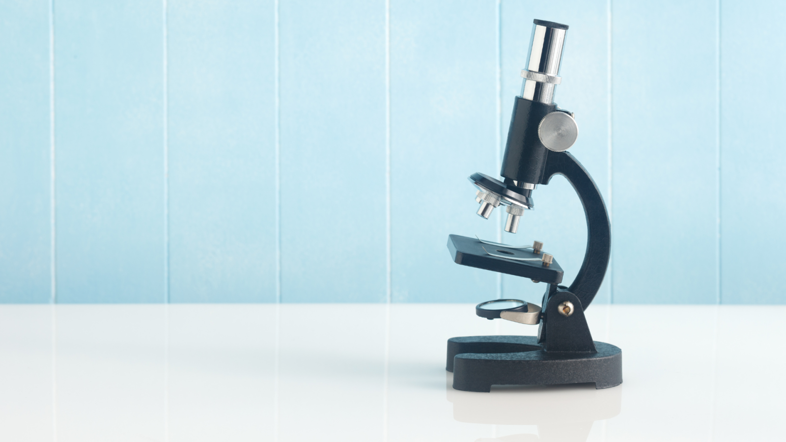 un-appello-per-il-futuro-dell’italia:-sostenere-la-ricerca-scientifica