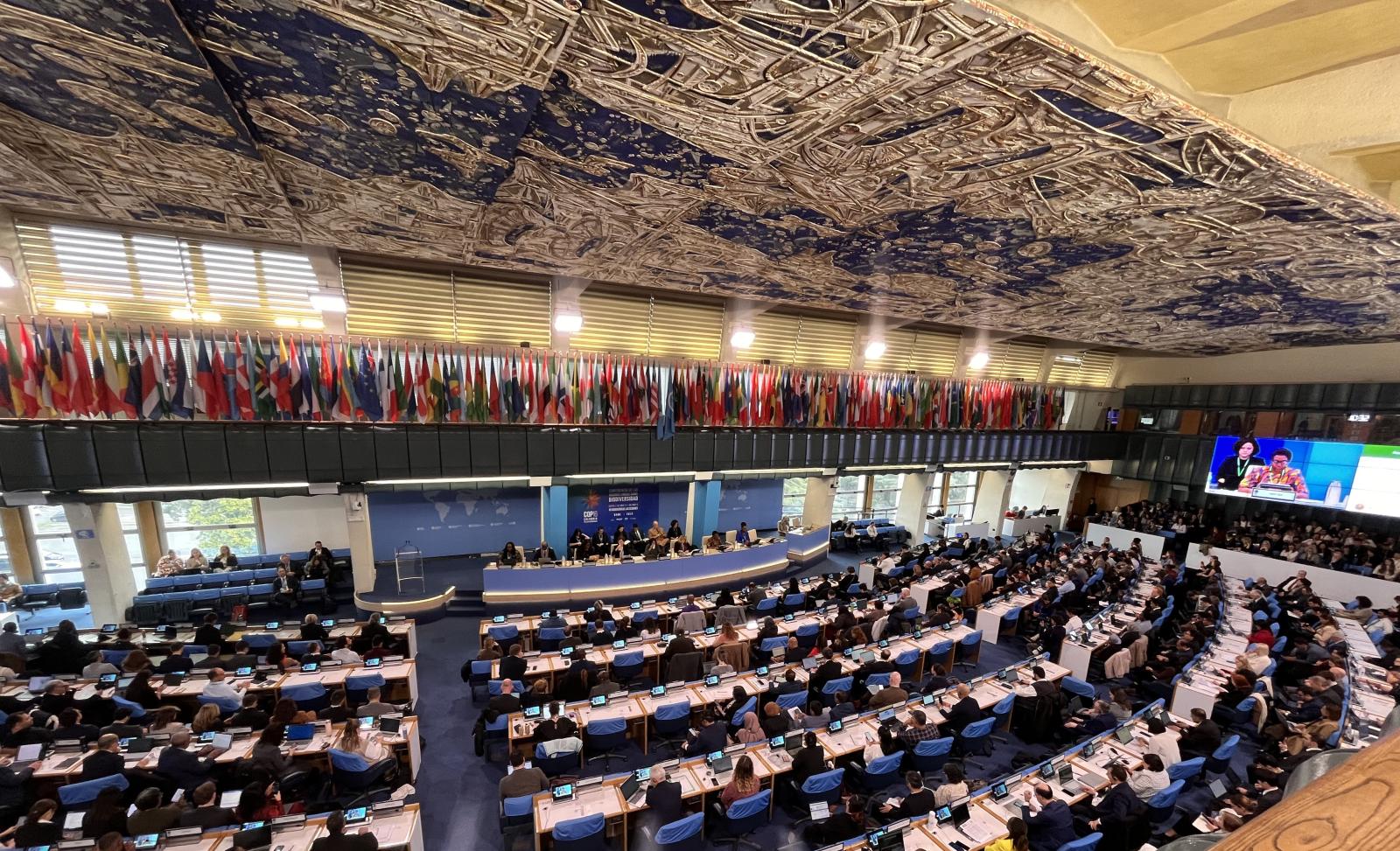 cop16-a-roma:-un-accordo-sui-fondi-per-la-biodiversita