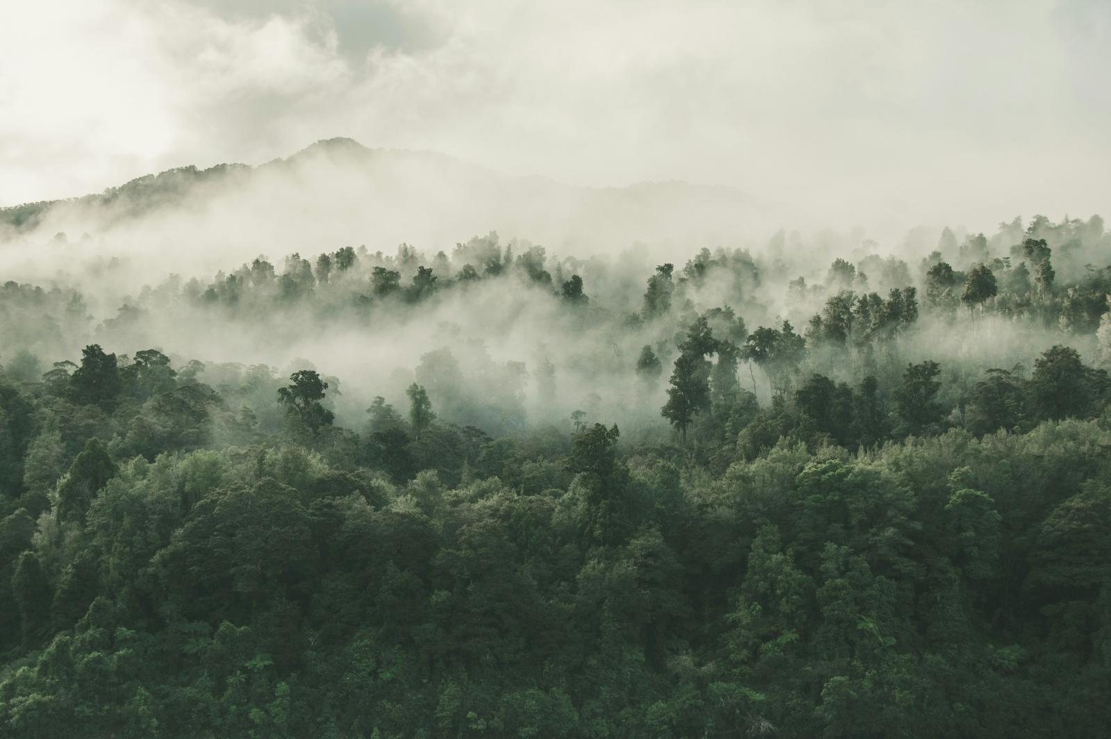 biodiversita-oscura:-la-perdita-invisibile