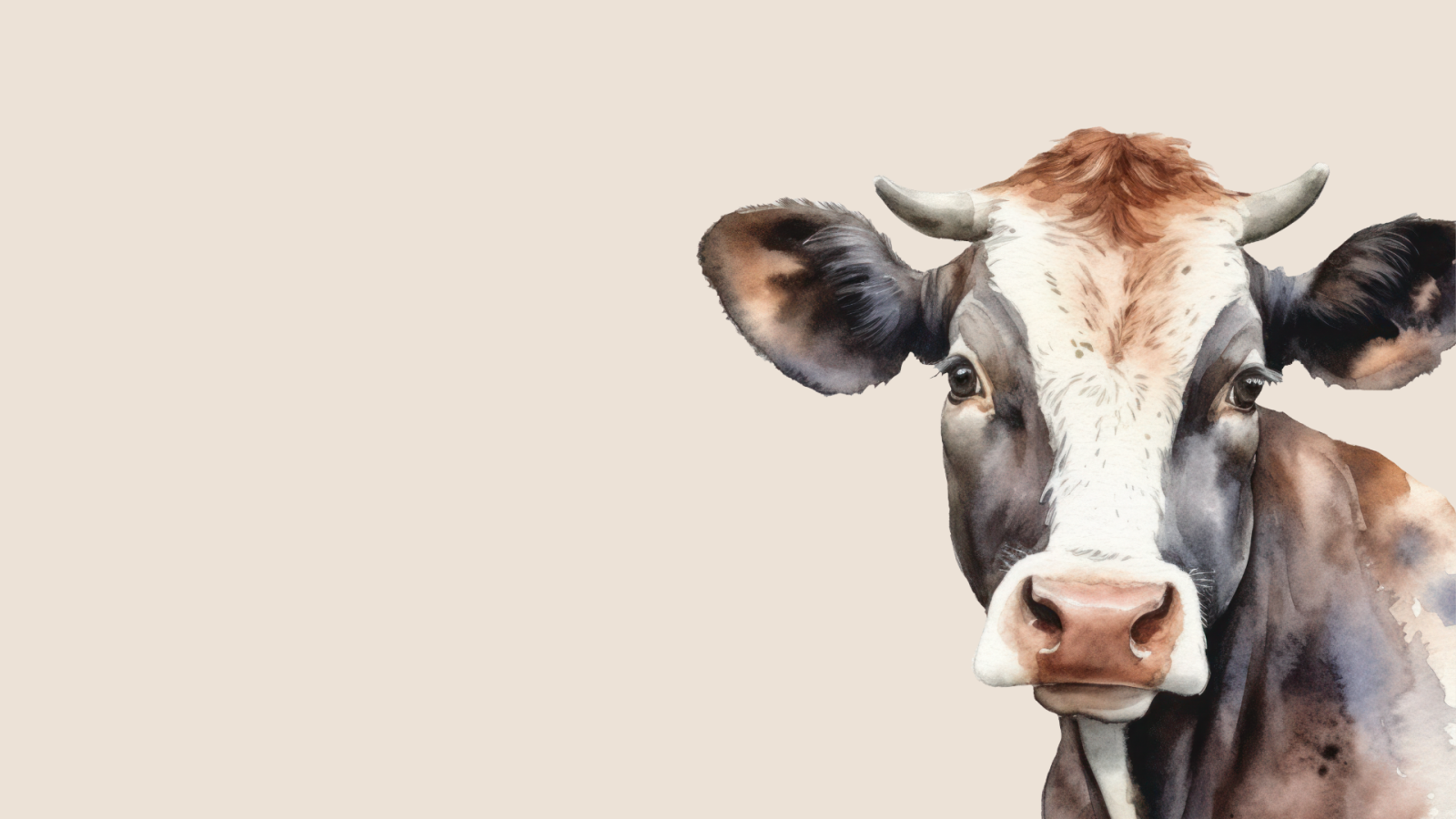 “considera-gli-animali”:-un-saggio-di-etica,-scelte-e-convivenza-tra-specie