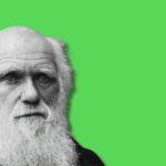 l’evoluzionista-riluttante:-ritratto-di-darwin-tra-riserbo-e-rivoluzione