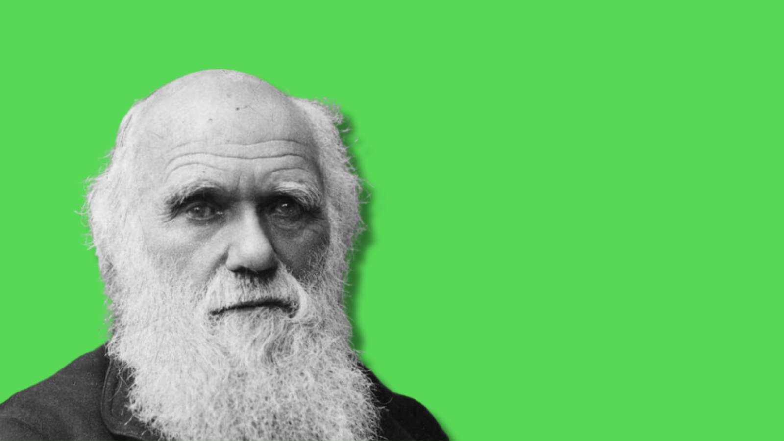 l’evoluzionista-riluttante:-ritratto-di-darwin-tra-riserbo-e-rivoluzione