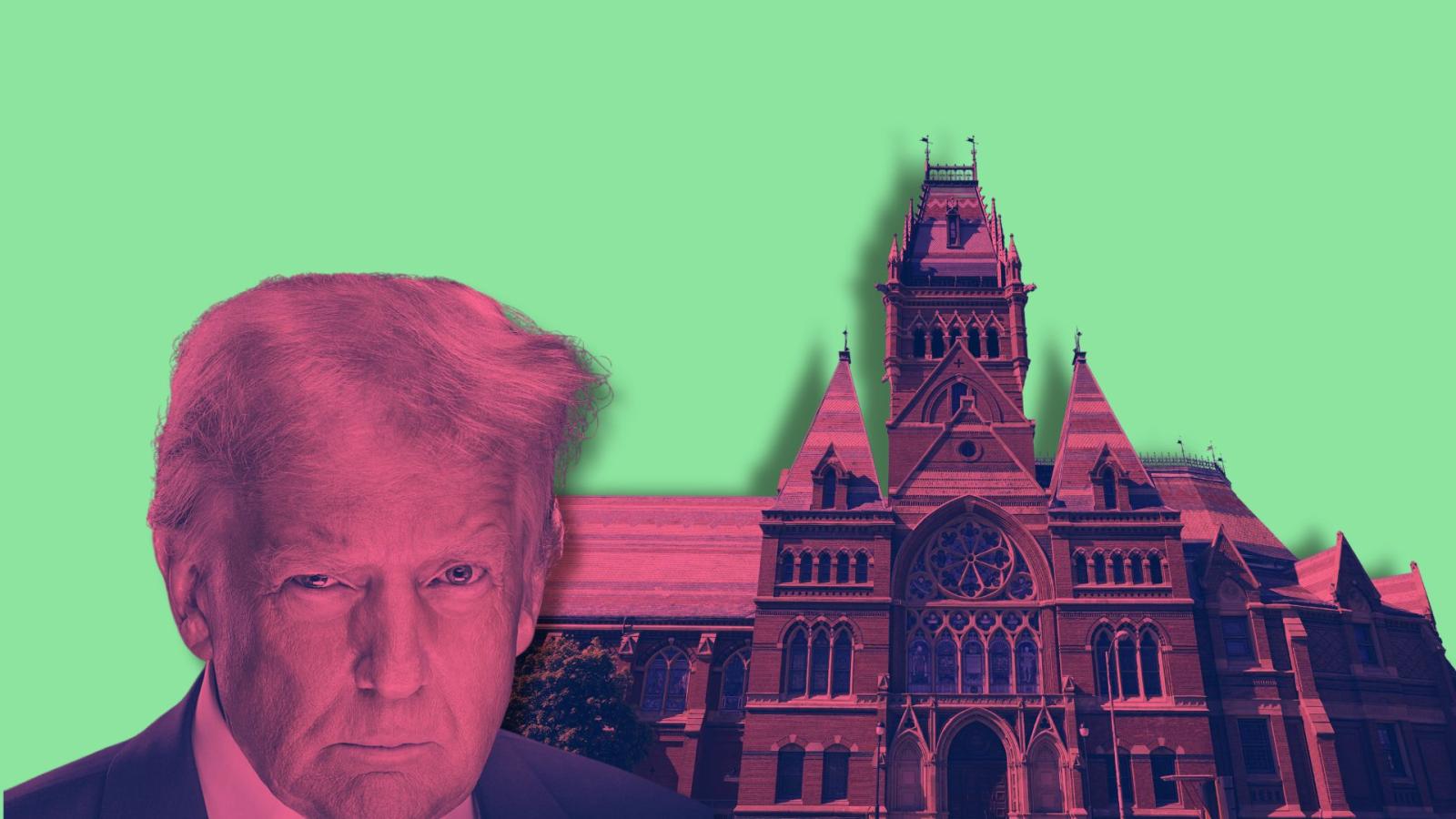 difendiamo-le-universita-dagli-assalti-trumpiani,-ma-ripensiamo-il-loro-ruolo-sociale