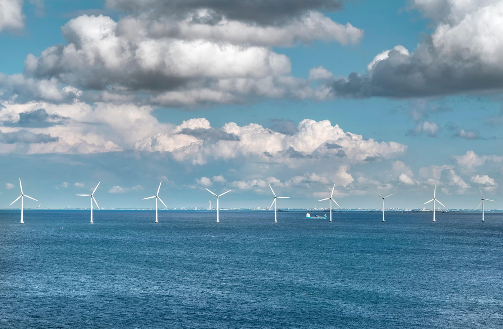 offshore:-piu-eolico-e-piu-biodiversita-in-un-colpo-solo