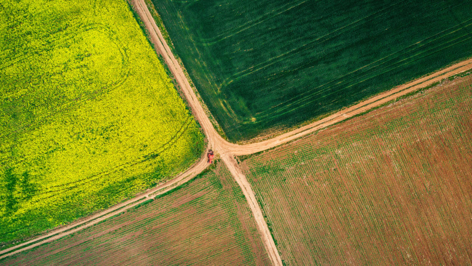 il-cambiamento-climatico-aumentera-la-variabilita-delle-rese-agricole