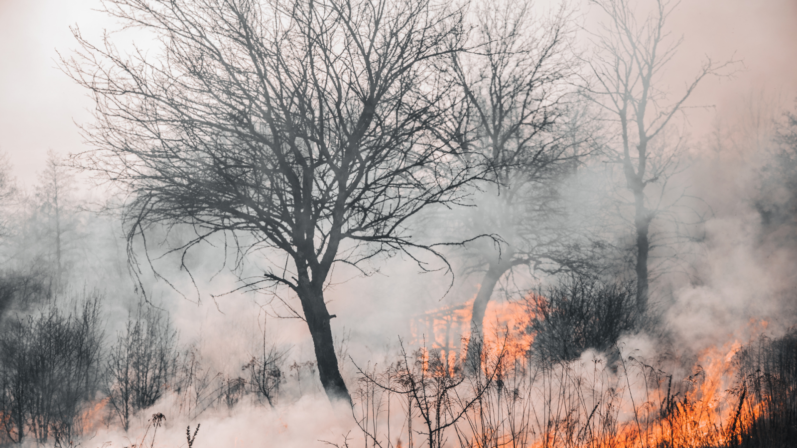 europa-in-cenere:-(un’altra)-estate-di-incendi
