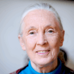 la-rivoluzione-gentile-di-jane-goodall