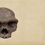 se-il-dna-tace.-la-paleoproteomica-racconta-la-storia-dei-denisovani