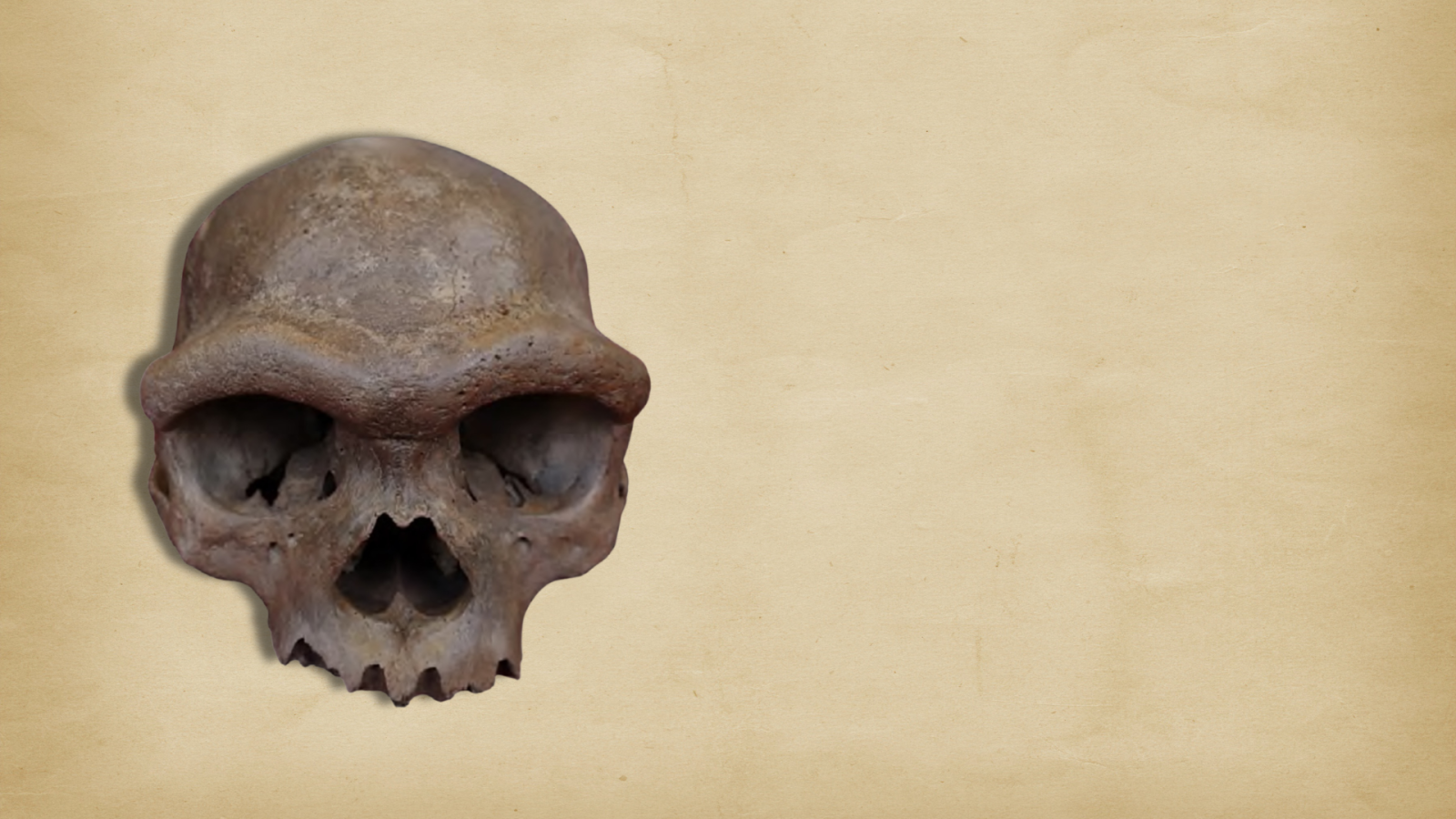 se-il-dna-tace.-la-paleoproteomica-racconta-la-storia-dei-denisovani