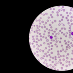 elogio-dell’immunologia