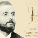 webinar-6-novembre-–-malaria.-il-nobel-negato:-storia-di-battista-grassi