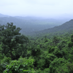 la-cop30-del-popolo-che-esclude-il-popolo:-le-contraddizioni-di-belem