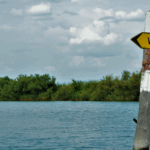 il-paradosso-del-mos.e:-salvare-venezia-danneggiando-il-suo-capitale-naturale