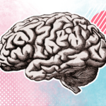 cosa-sanno-davvero-le-neuroscienze-su-sesso,-genere-e-identita?