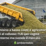 olio-tunisino-a-basso-costo-e-agricoltori-europei-al-collasso:-l’ue-iper-regola-al-suo-interno-ma-svende-il-mercato