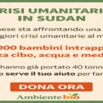 crisi-umanitaria-in-sudan:-cosa-sta-succedendo-e-perche-il-mondo-non-puo-voltarsi-dall’altra-parte