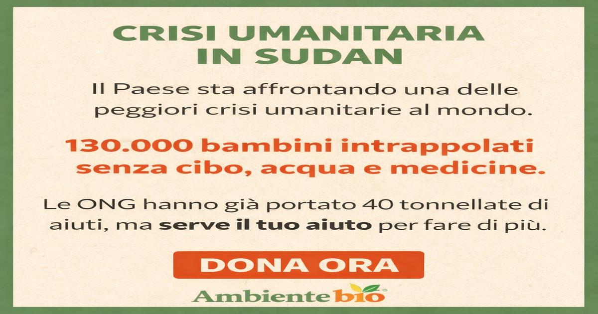 crisi-umanitaria-in-sudan:-cosa-sta-succedendo-e-perche-il-mondo-non-puo-voltarsi-dall’altra-parte