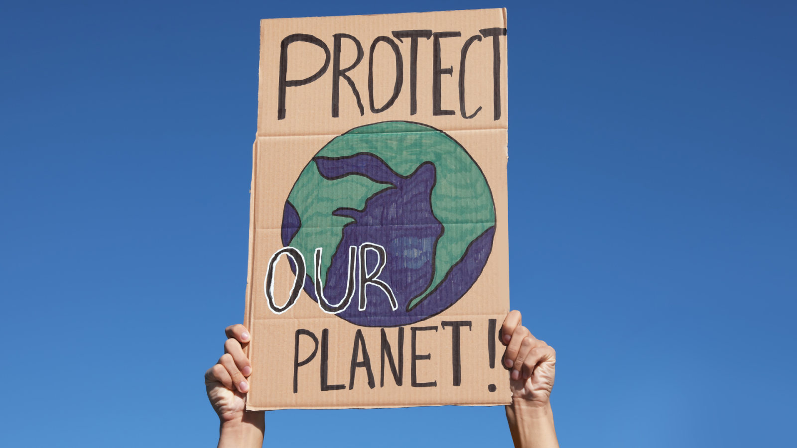 ancora-qualche-considerazione-sulla-cop30