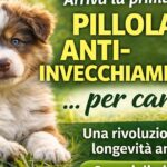 la-prima-pillola-anti-invecchiamento-per-cani-entra-in-sperimentazione:-cosa-significa-per-la-longevita-animale-(e-umana)