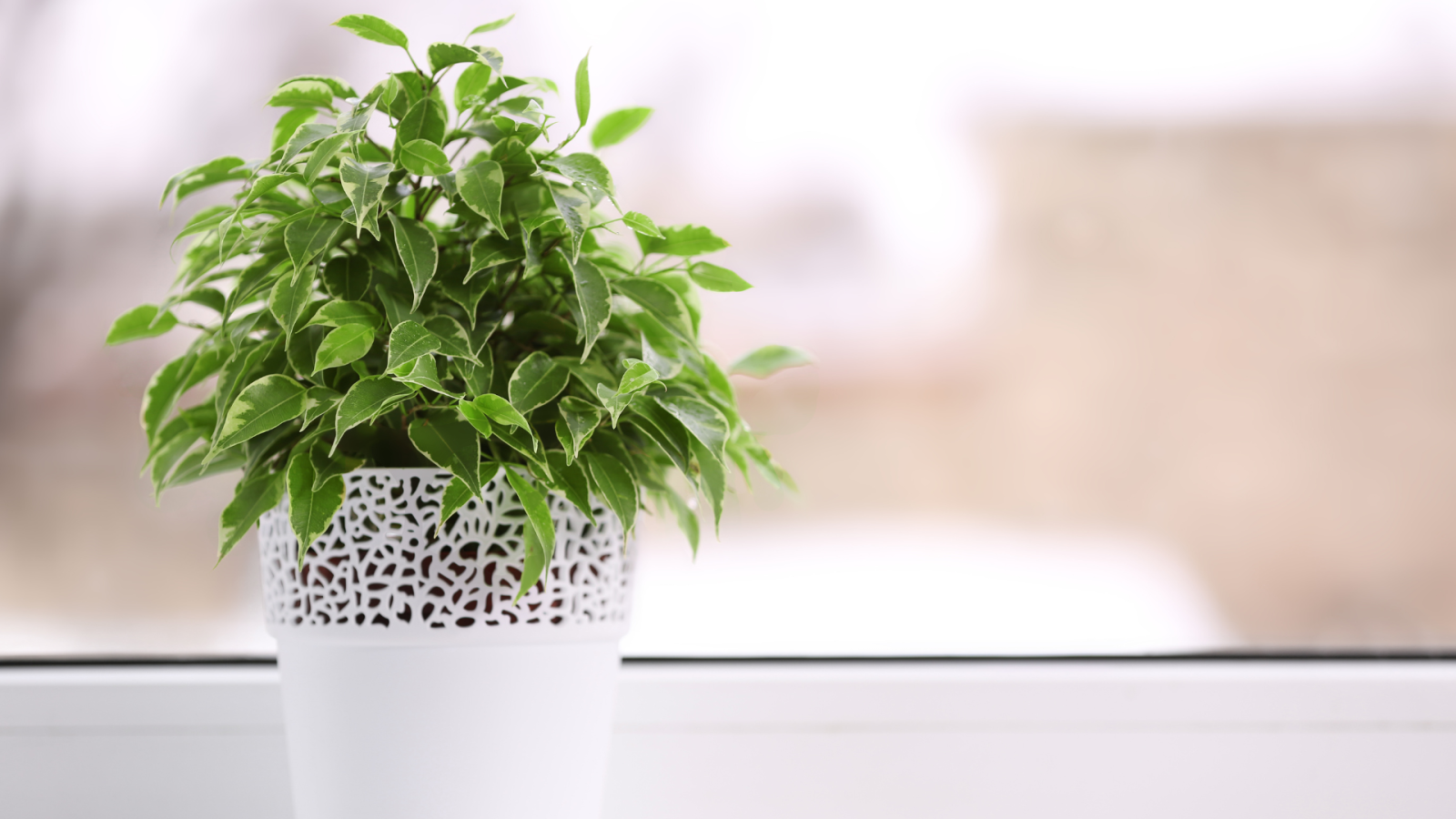 inquinamento:-come-salvarsi?