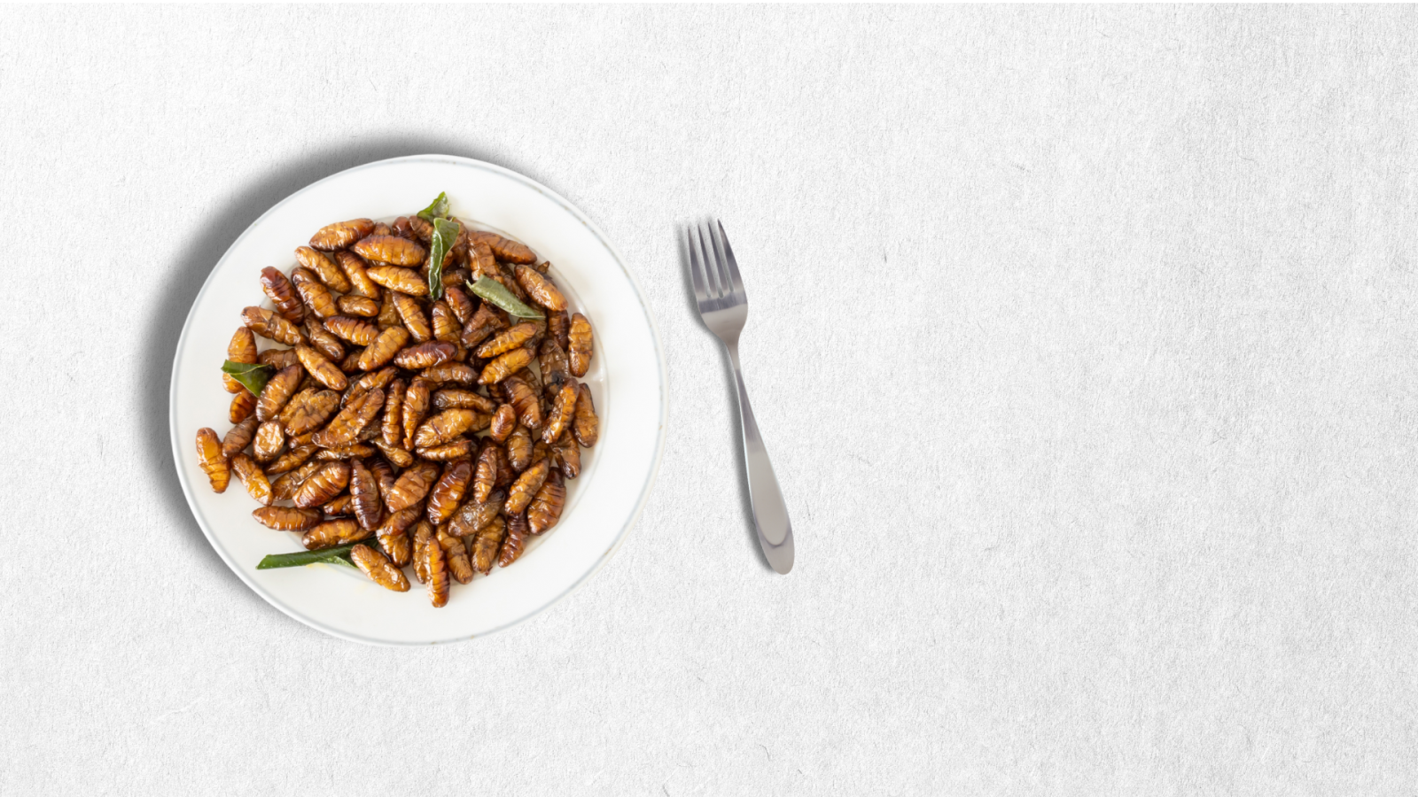 insetti-nel-piatto:-oltre-la-barriera-del-disgusto