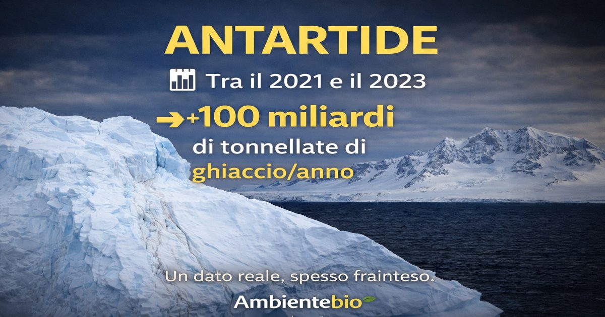 antartide:-perche-tra-il-2021-e-il-2023-il-ghiaccio-e-aumentato-(e-cosa-significa-davvero)