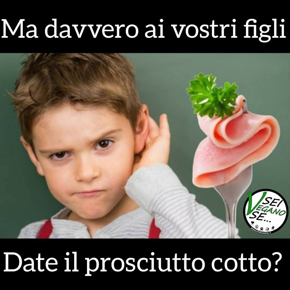 il-prosciutto-cotto-e-cancerogeno?-cosa-dice-davvero-l’oms-e-perche-il-problema-va-oltre-questo-salume