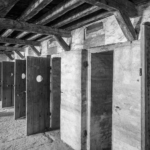 fascisti-e-antisemiti