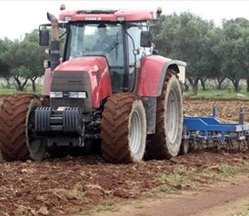 coltivare-canapa-per-salvare-i-terreni-contaminati-da-diossina-e-metalli-pesanti.-progetti-aggiornati-2026