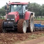 coltivare-canapa-per-salvare-i-terreni-contaminati-da-diossina-e-metalli-pesanti.-progetti-aggiornati-2026