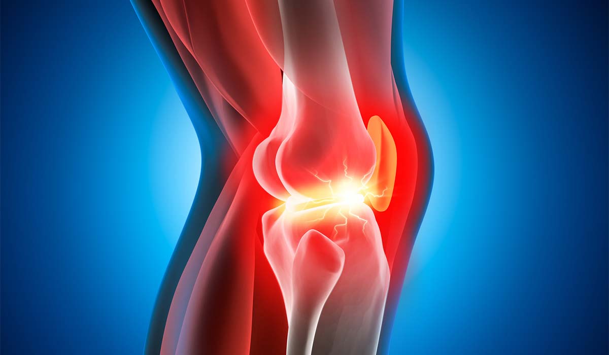 cartilagine:-quali-alimenti-la-supportano-davvero-(e-curiosita-storiche)