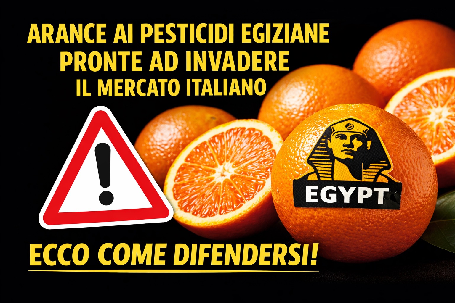 arance-egiziane-con-pesticidi-vietati:-come-riconoscerle,-cosa-dice-l’allerta-e-guida-pratica-per-evitare-prodotti-poco-sicuri