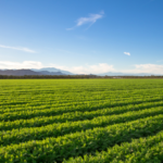 parte-il-piano-nazionale-sementi-biologiche