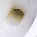 come-rimuovere-il-calcare-vecchio-e-incrostato-dal-wc-in-modo-naturale