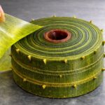 plastica-dal-bambu:-il-nuovo-biopolimero-che-puo-sostituire-quella-derivata-dal-petrolio