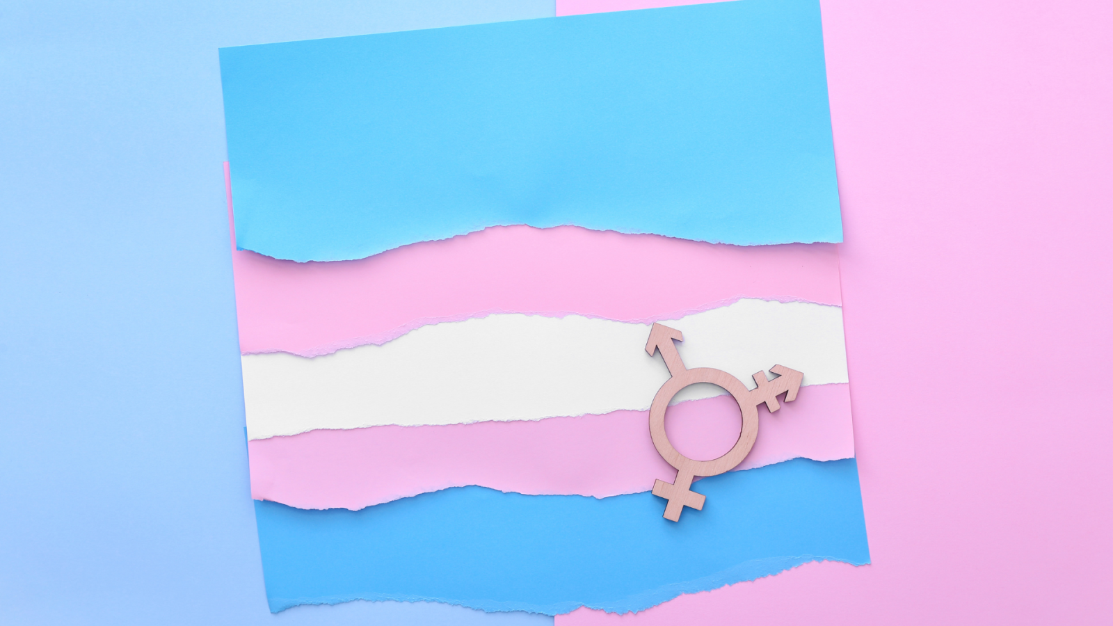 disforia-a-esordio-rapido:-contagio-sociale-o-panico-morale?