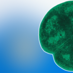 un-batterio-che-sopravvive-all’impatto-su-marte-puo-viaggiare-nello-spazio?