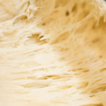 generazione-scoby:-la-lentezza-controcorrente-della-kombucha