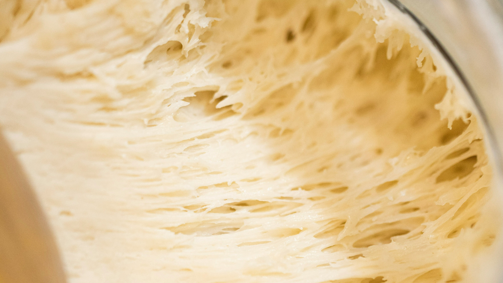 generazione-scoby:-la-lentezza-controcorrente-della-kombucha