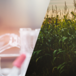 tea,-biologico,-naturale:-le-ambiguita-del-dibattito