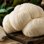 micoterapia:-cos’e-e-perche-l’hericium-e-uno-dei-funghi-medicinali-piu-studiati