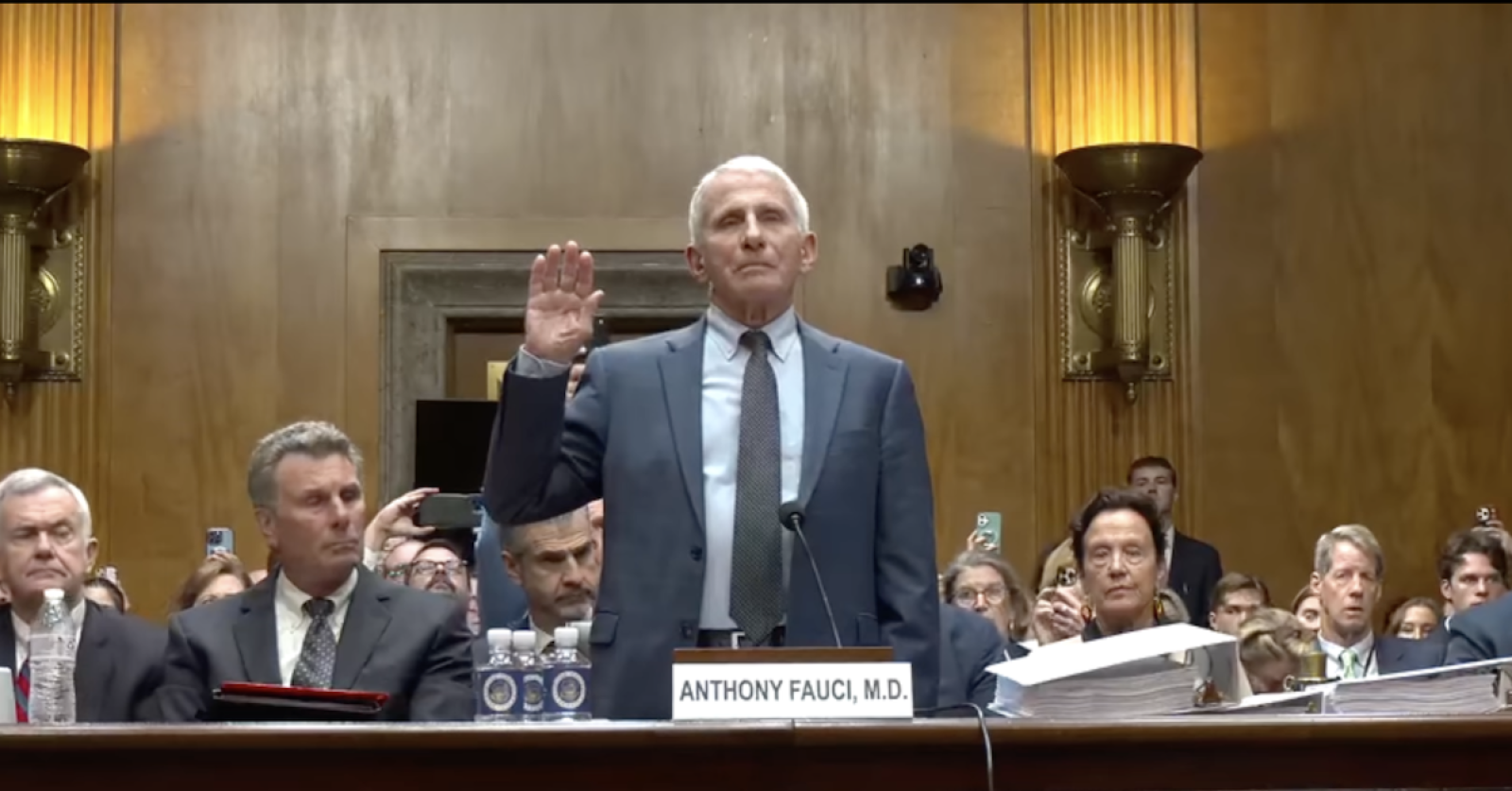 my-portrait-of-anthony-fauci