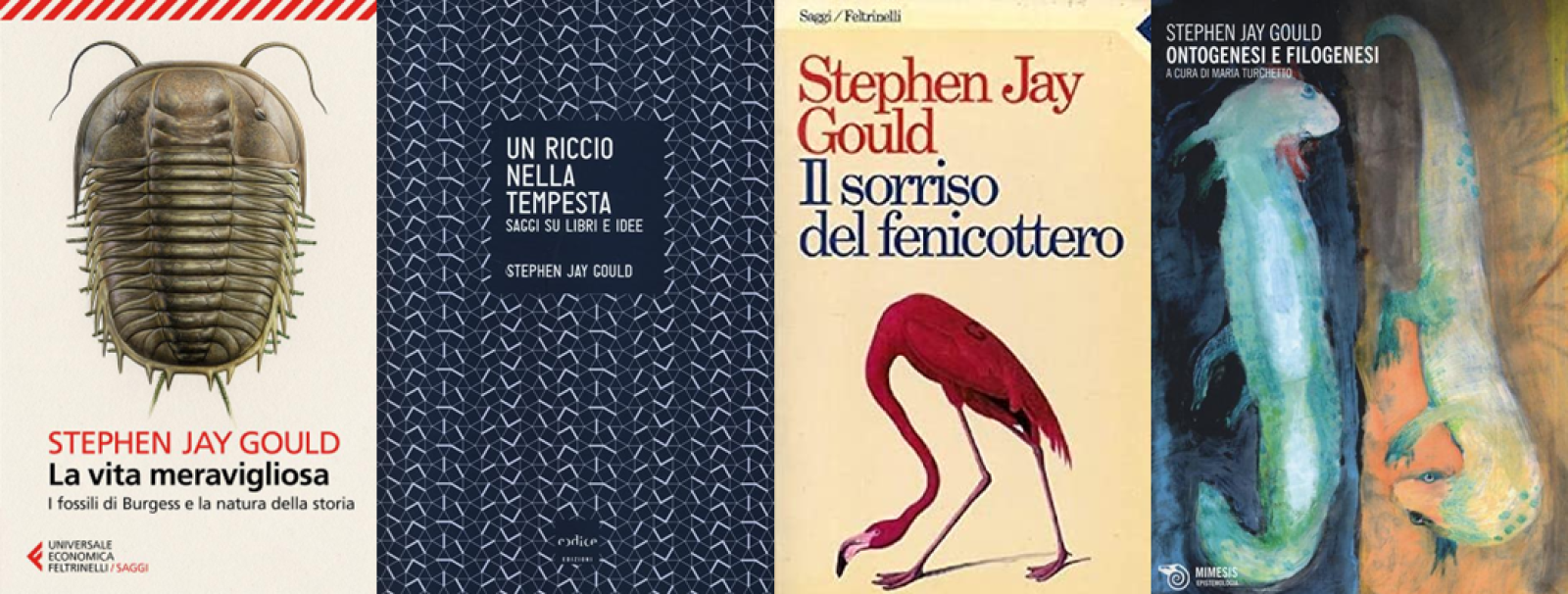 ventiquattro-anni-senza-stephen-gould-(e-ci-manca)